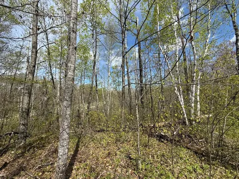 3854 Rasmussen Road Floodwood MN 55798