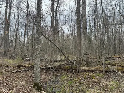 3854 Rasmussen Road Floodwood MN 55798