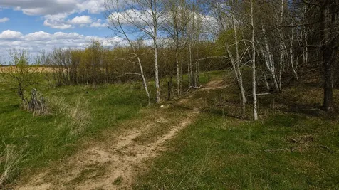 32524 490th Avenue Ottertail MN 56571