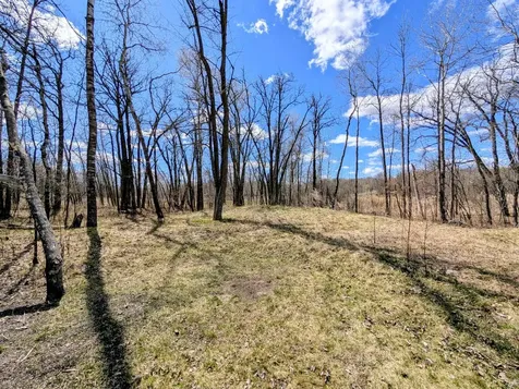 970 Wynkoop Road NW Puposky MN 56667