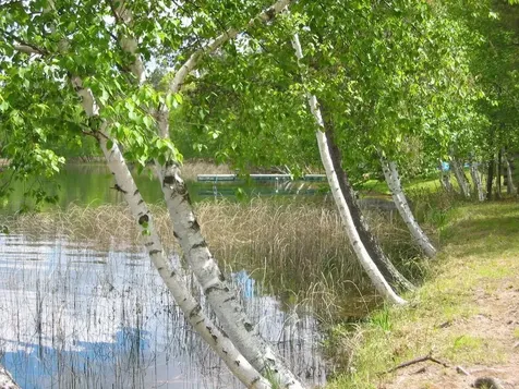 W8804 Deeper Lake Road Minong WI 54859