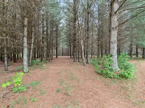1358 County Road 17 SW Pequot Lakes MN 56472