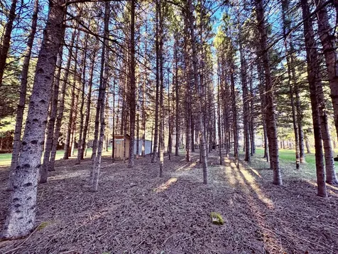 2640 18th Street NW Baudette MN 56623