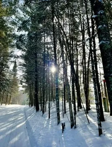 39878 Bald Eagle Haven Road Waubun MN 56589