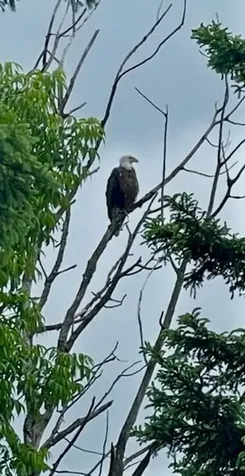 39878 Bald Eagle Haven Road Waubun MN 56589