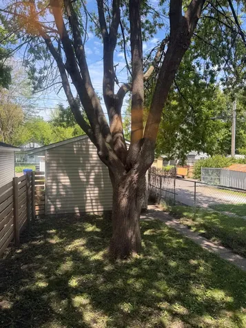 553 Blair Avenue Saint Paul MN 55103