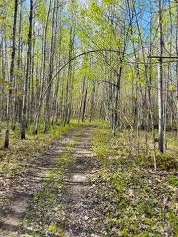 43056 County 45 Laporte MN 56461