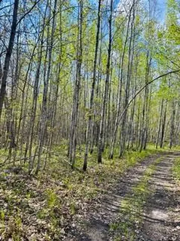 43056 County 45 Laporte MN 56461