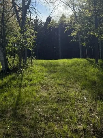 Tbd County Road 3 Merrifield MN 56465