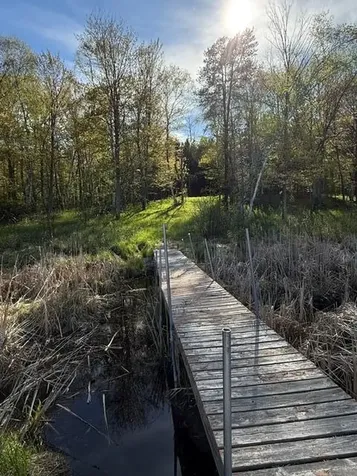 Tbd County Road 3 Merrifield MN 56465