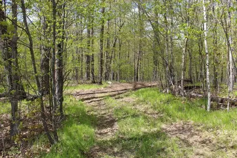 38626 496th Lane Palisade MN 56469