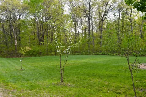 13066 Oakland Parkway Road Merrifield MN 56465