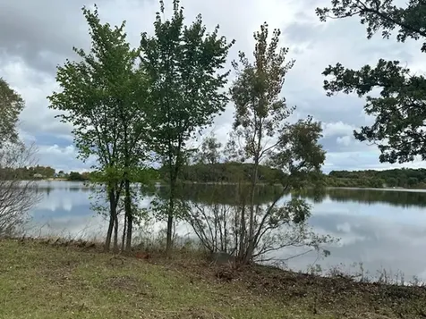 42961 165th Street Clitherall MN 56524