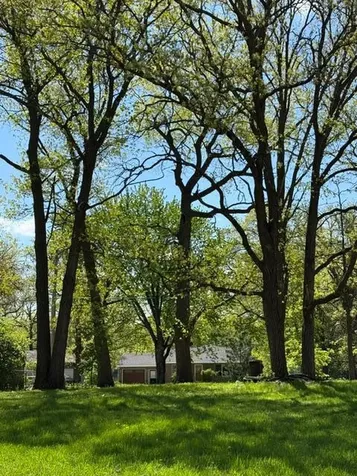 900 Lindbergh Drive S Little Falls MN 56345