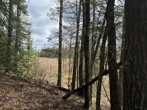 7355 Melrude Rd. W Cotton MN 55724