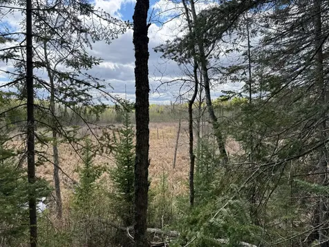 7355 Melrude Rd. W Cotton MN 55724
