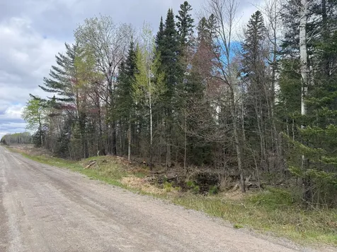 7355 Melrude Rd. W Cotton MN 55724