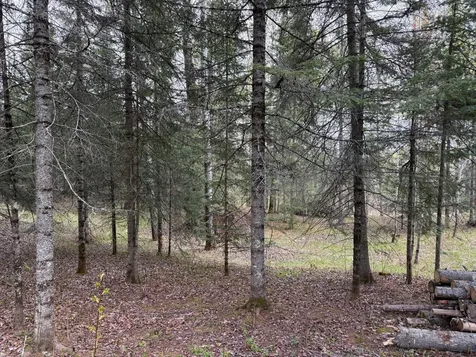 7355 Melrude Rd. W Cotton MN 55724