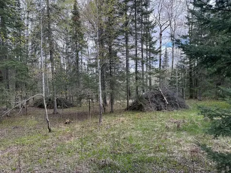 7355 Melrude Rd. W Cotton MN 55724
