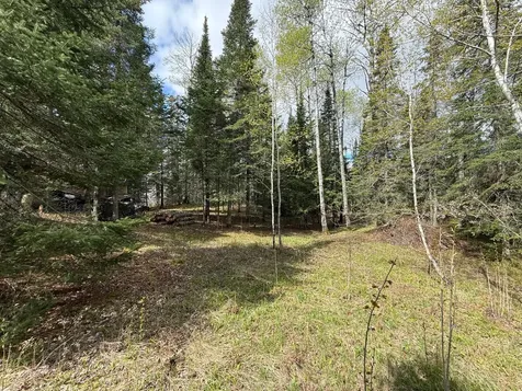 7355 Melrude Rd. W Cotton MN 55724