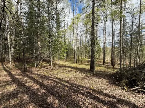 7355 Melrude Rd. W Cotton MN 55724