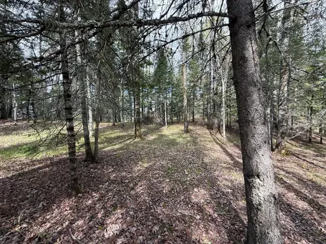 7355 Melrude Rd. W Cotton MN 55724