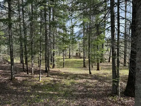 7355 Melrude Rd. W Cotton MN 55724