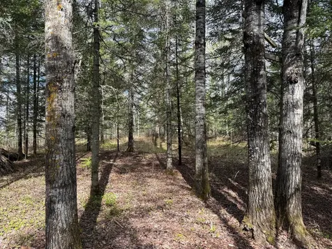 7355 Melrude Rd. W Cotton MN 55724