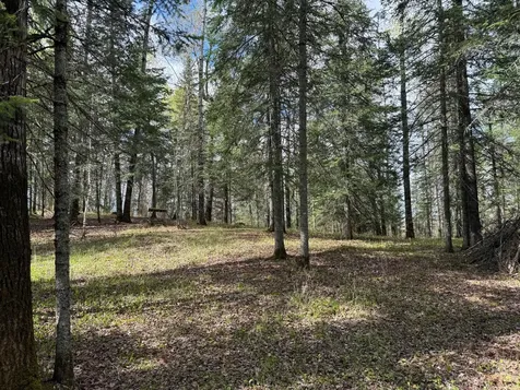 7355 Melrude Rd. W Cotton MN 55724