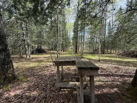 7355 Melrude Rd. W Cotton MN 55724