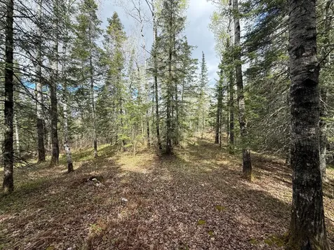 7355 Melrude Rd. W Cotton MN 55724