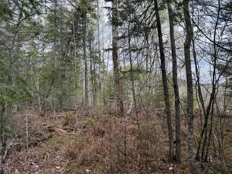 7355 Melrude Rd. W Cotton MN 55724