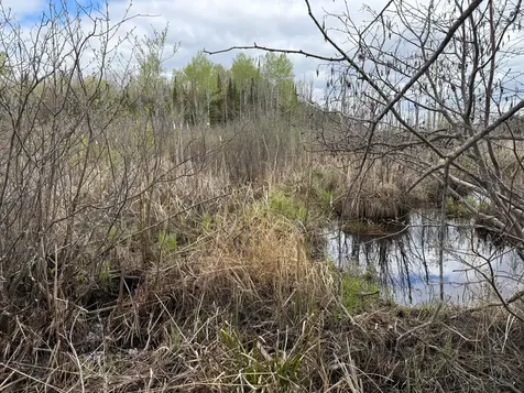 7355 Melrude Rd. W Cotton MN 55724