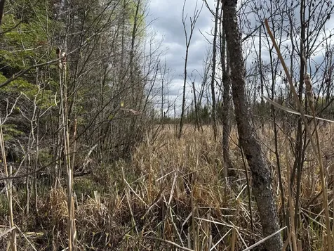 7355 Melrude Rd. W Cotton MN 55724