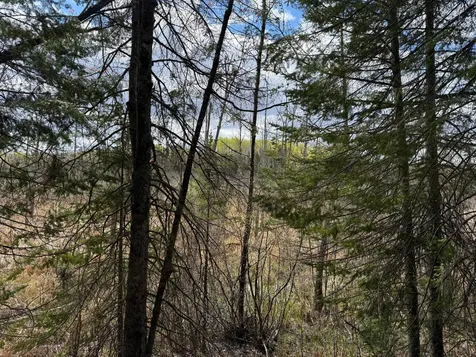 7355 Melrude Rd. W Cotton MN 55724