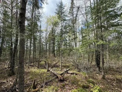 7355 Melrude Rd. W Cotton MN 55724