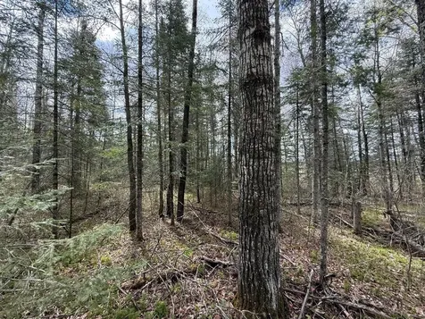 7355 Melrude Rd. W Cotton MN 55724