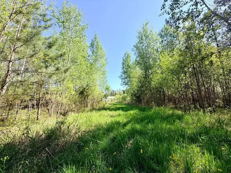 3805 Fraser Road Iron MN 55751