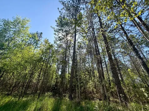 3805 Fraser Road Iron MN 55751
