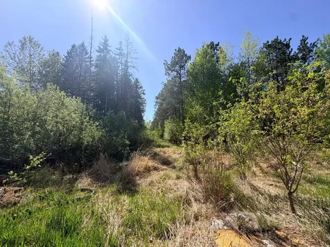 3805 Fraser Road Iron MN 55751