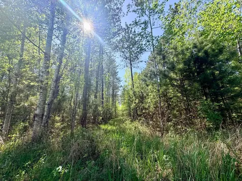 3805 Fraser Road Iron MN 55751