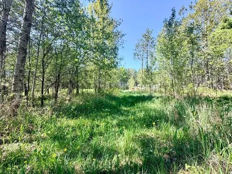 Tbd Fraser Road Iron MN 55751
