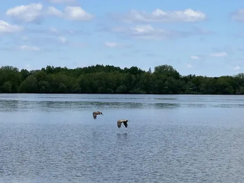 36999 Stanchfield Lake Road NW Dalbo MN 55017