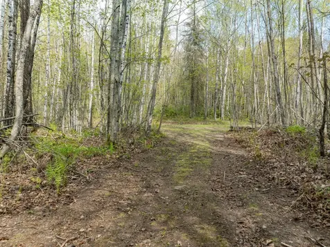 35020 E County Line Road Hill City MN 55748