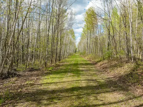 35020 E County Line Road Hill City MN 55748