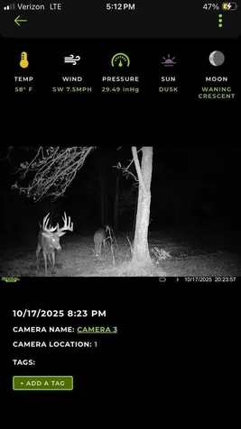 48990 County Highway 17 Vergas MN 56587