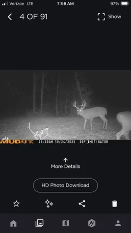 48990 County Highway 17 Vergas MN 56587