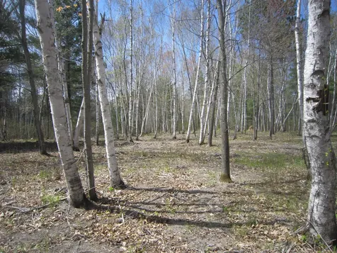 Lot 6 Pike Bay Loop NW Cass Lake MN 56633
