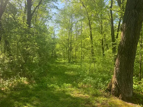 4919 County Road 141 Saint Augusta MN 56301