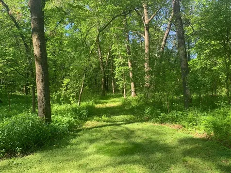 4919 County Road 141 Saint Augusta MN 56301